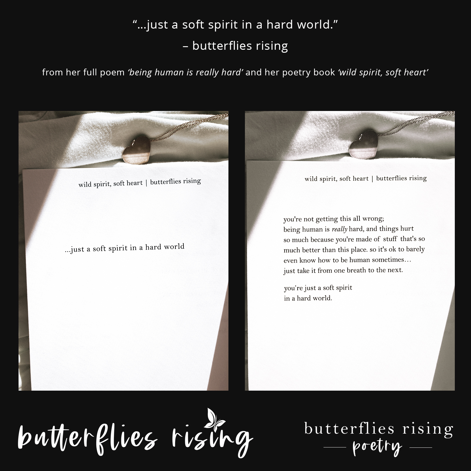 just a soft spirit in a hard world